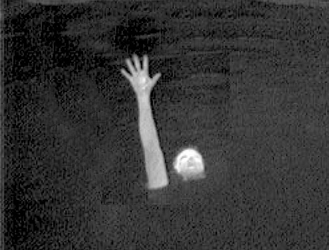 The added detail and precision of the image with thermal imaging. © Mike Rose
